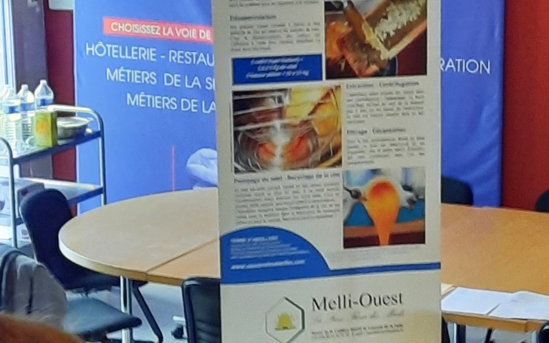 Melli Ouest : miel, essaims et reines à Branly